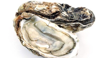 蛋白肽与男性功能有哪些关联？