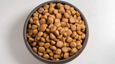 猫粮风味剂的生产如何选择酶制剂？