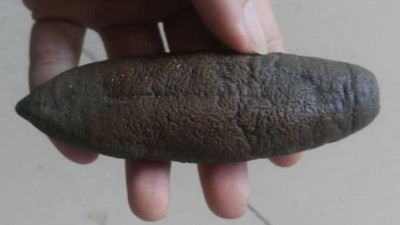海参外皮怎么处理干净，使用木瓜蛋白酶还是复合酶呢