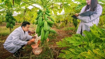 酶制剂公司排名：哪个厂家在食品、饲料、工业领域拔得头筹