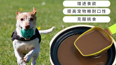 如何酶解鱼肉提高宠物风味剂原料适口性？