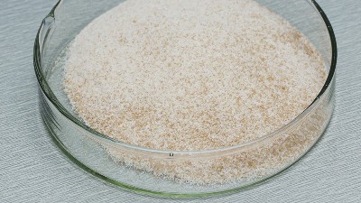 宠物诱食剂升级关键——风味蛋白酶的应用