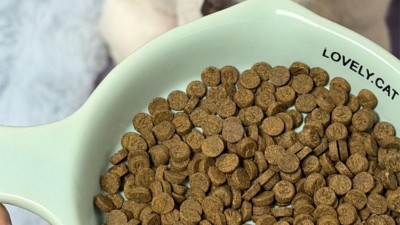 重构食材加工价值链：木瓜蛋白酶的创新应用