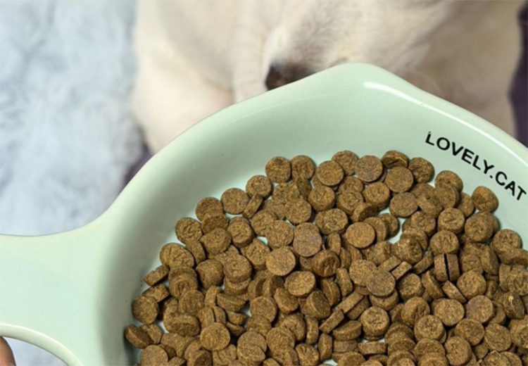 鸡肝浆酶解狗粮