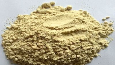 水解大豆分离蛋白做肽可用的酶制剂有哪些？