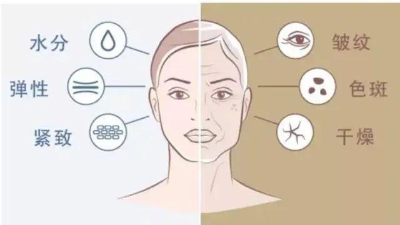 酶解鳕鱼皮制备胶原蛋白的影响因素有哪些？