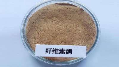 纤维素酶牛仔布酶洗返染解决方法