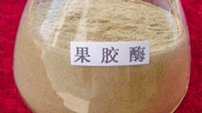 果胶酶的作用原理，正确使用方法与用量