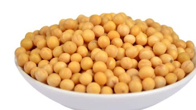 生产大豆活性肽用哪种酶制剂？