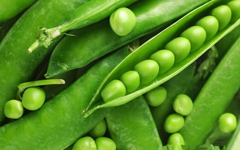 植物蛋白饮料原材料