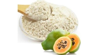 蛋白酶在食品加工中有哪些作用？