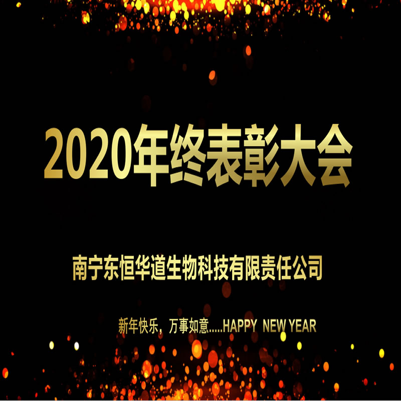 年终表彰大会