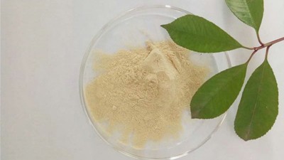 浅谈蛋白胨的不同分类及酶制剂的应用