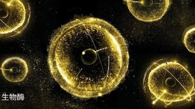 关于生物酶反应过程的故事