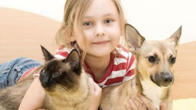 猫犬风味剂生产选择复合酶，还是单体酶制剂？