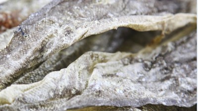 生产900道尔顿胶原蛋白肽，复合蛋白酶的优势有哪些？