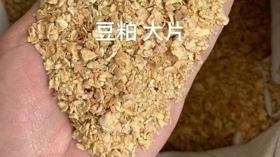 蛋白饲料加工新突破！木瓜蛋白酶的4大优势解析