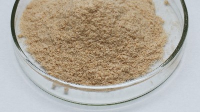碱性蛋白酶的作用和用途