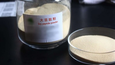 生产大豆低聚肽与多肽会用到哪些酶制剂？