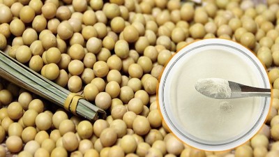 酶解法制备大豆蛋白肽具有什么优势？