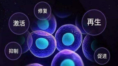 东恒华道酶制剂即将参加2021第五届生物活性肽研讨会