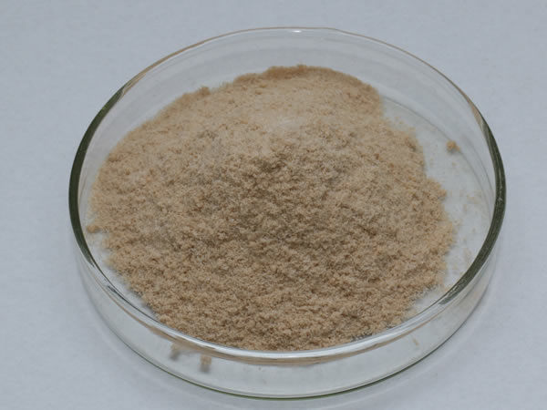 膜清洗酶（膜清洗剂，洗涤酶）