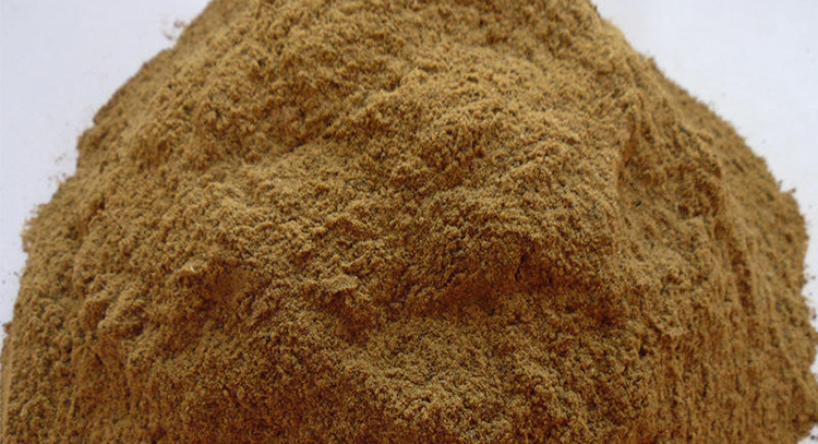 鱼粉品质差？酶制剂才是核心解决方案！