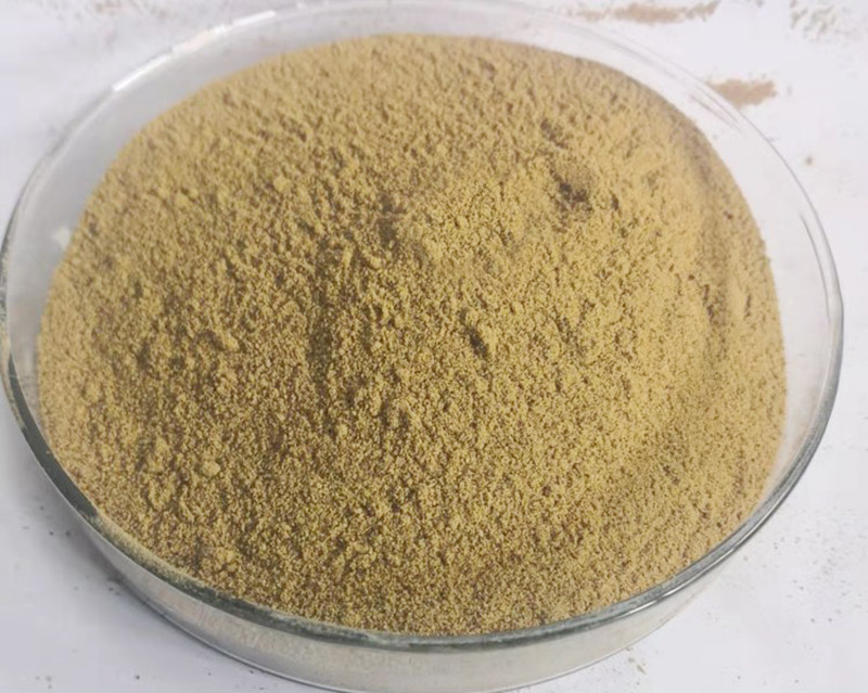 酶解鱼粉