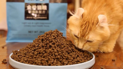如何酶解鸡肝粉提高猫粮诱食剂诱食性？