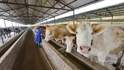 一文搞懂，饲料用蛋白酶有几种？